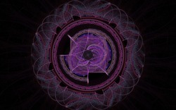 2014 04 30 Webs and Things 20-black.jpg